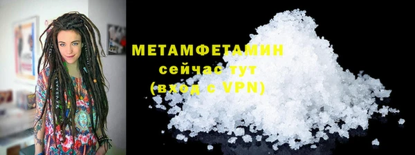 прущие грибы Козельск
