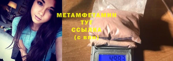 прущие грибы Козельск