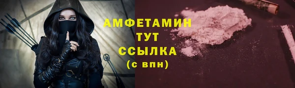 прущие грибы Козельск