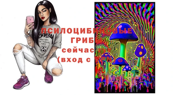 2c-b Кодинск