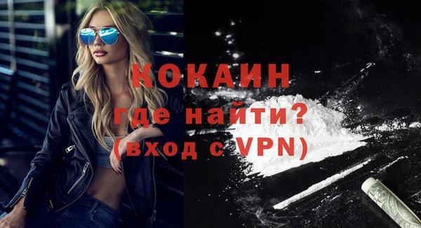 прущие грибы Козельск