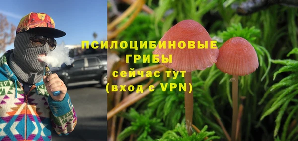 прущие грибы Козельск